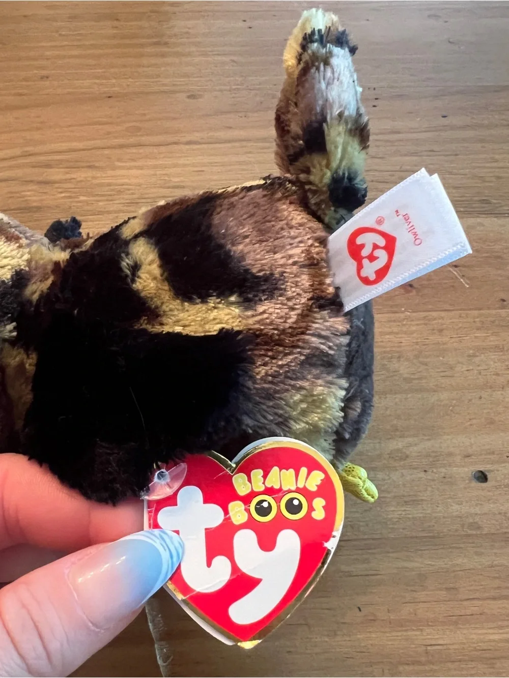 Ty Beanie Boo Owl Duo Set